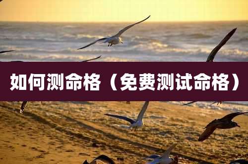 如何测命格（免费测试命格）