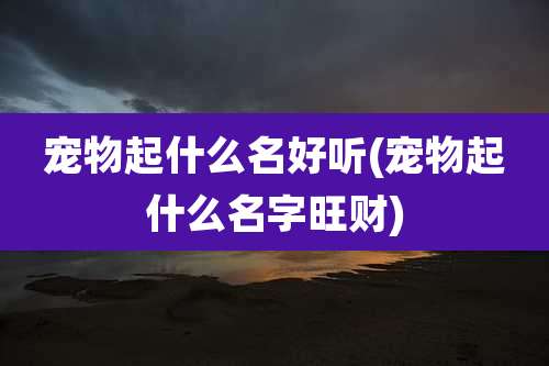 宠物起什么名好听(宠物起什么名字旺财)