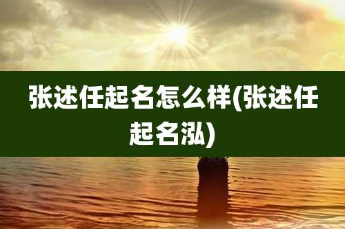 张述任起名怎么样(张述任起名泓)