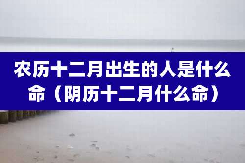 农历十二月出生的人是什么命（阴历十二月什么命）