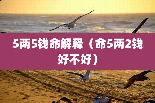 5两5钱命解释（命5两2钱好不好）