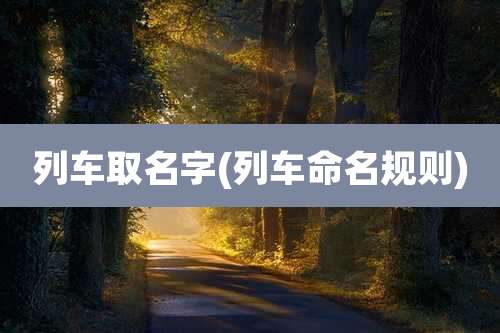 列车取名字(列车命名规则)