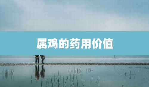 属鸡的药用价值