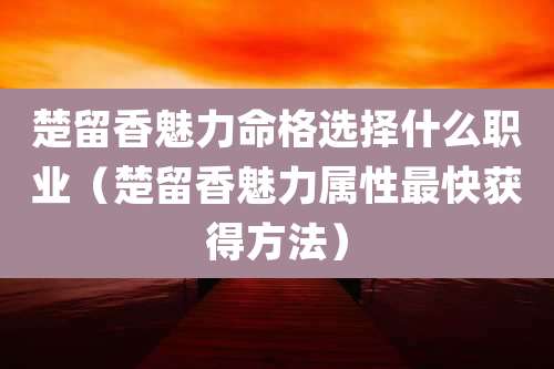 楚留香魅力命格选择什么职业（楚留香魅力属性最快获得方法）