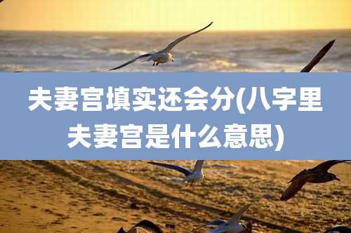 夫妻宫填实还会分(八字里夫妻宫是什么意思)