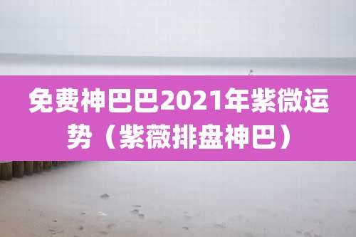 免费神巴巴2021年紫微运势（紫薇排盘神巴）