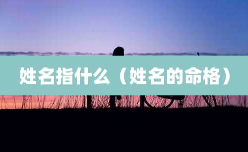 姓名指什么（姓名的命格）