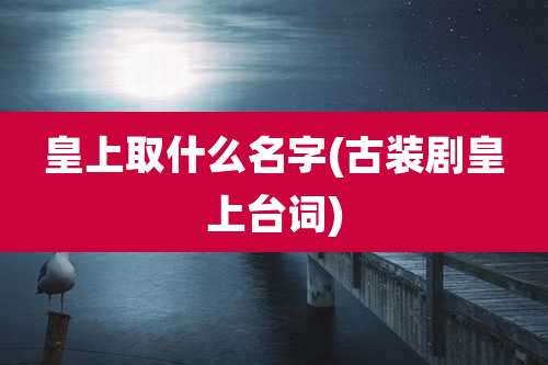 皇上取什么名字(古装剧皇上台词)