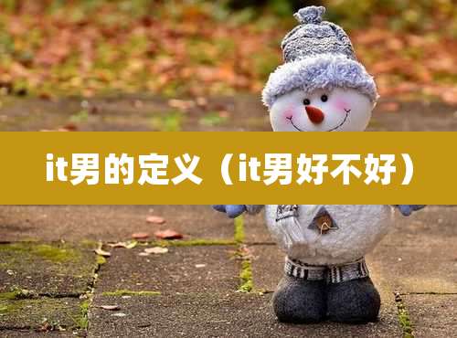 it男的定义（it男好不好）