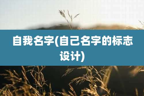 自我名字(自己名字的标志设计)