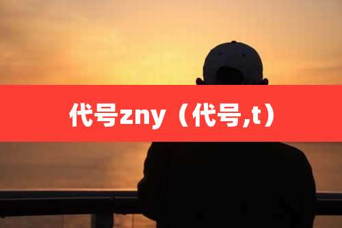 代号zny（代号,t）