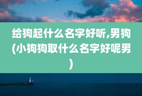 给狗起什么名字好听,男狗(小狗狗取什么名字好呢男)