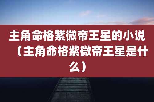 主角命格紫微帝王星的小说（主角命格紫微帝王星是什么）