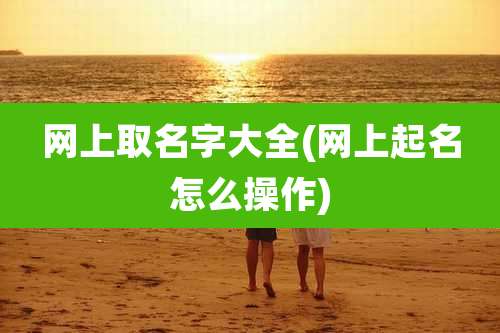 网上取名字大全(网上起名怎么操作)