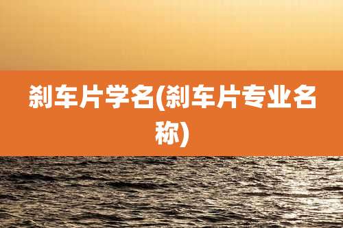 刹车片学名(刹车片专业名称)