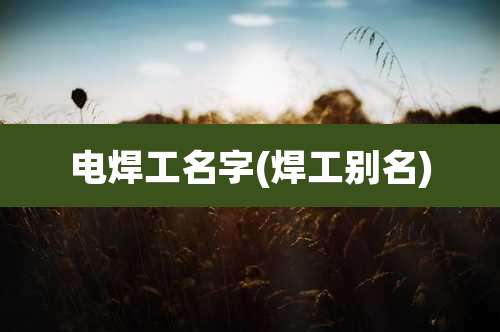 电焊工名字(焊工别名)