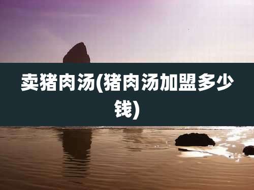 卖猪肉汤(猪肉汤加盟多少钱)