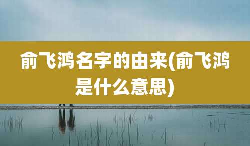 俞飞鸿名字的由来(俞飞鸿是什么意思)