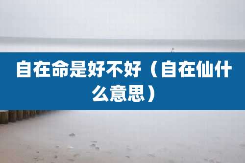 自在命是好不好（自在仙什么意思）
