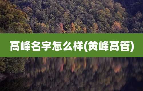 高峰名字怎么样(黄峰高管)