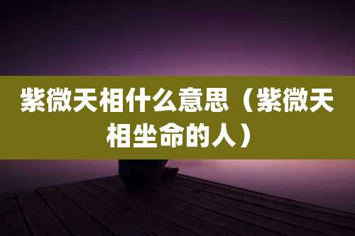 紫微天相什么意思（紫微天相坐命的人）