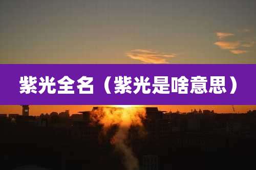 紫光全名（紫光是啥意思）