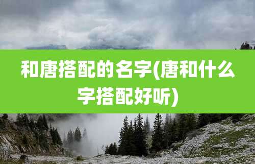 和唐搭配的名字(唐和什么字搭配好听)