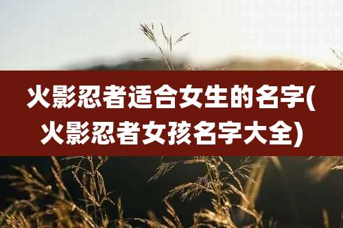火影忍者适合女生的名字(火影忍者女孩名字大全)
