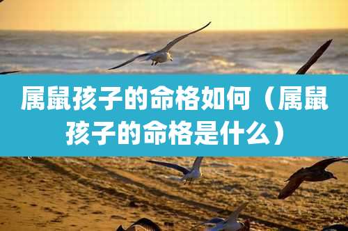 属鼠孩子的命格如何（属鼠孩子的命格是什么）