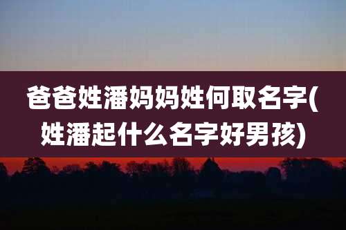 爸爸姓潘妈妈姓何取名字(姓潘起什么名字好男孩)
