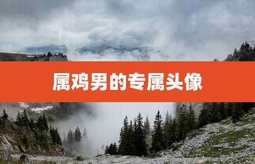 属鸡男的专属头像