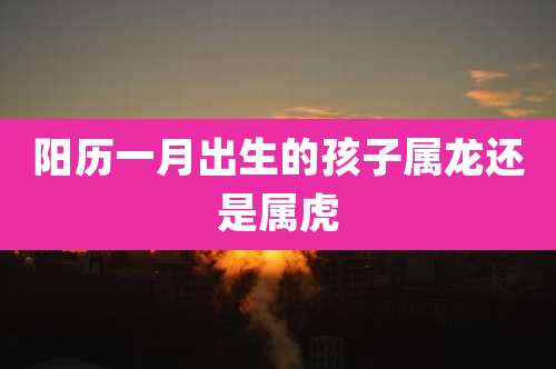 阳历一月出生的孩子属龙还是属虎