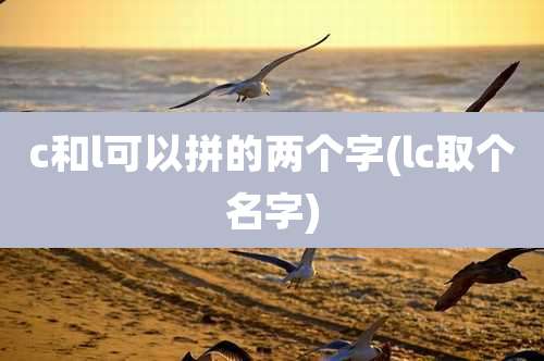 c和l可以拼的两个字(lc取个名字)
