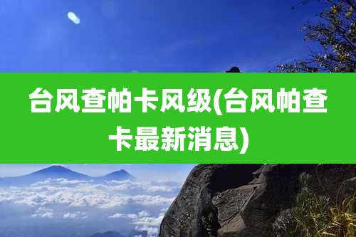 台风查帕卡风级(台风帕查卡最新消息)