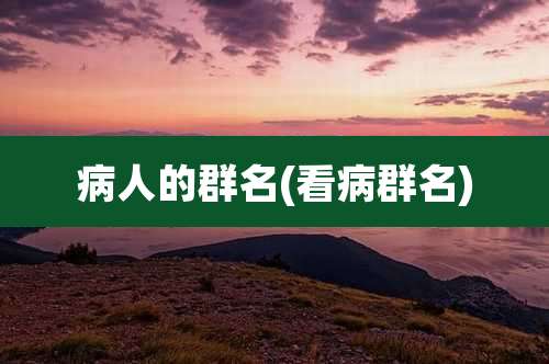 病人的群名(看病群名)