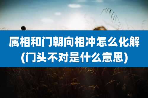属相和门朝向相冲怎么化解(门头不对是什么意思)