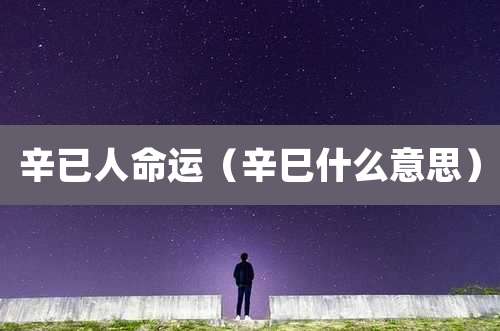 辛已人命运（辛巳什么意思）