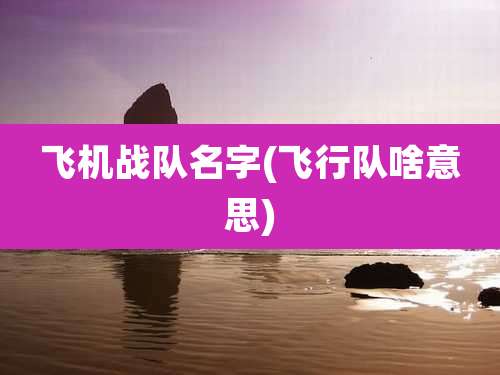 飞机战队名字(飞行队啥意思)