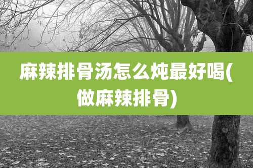 麻辣排骨汤怎么炖最好喝(做麻辣排骨)