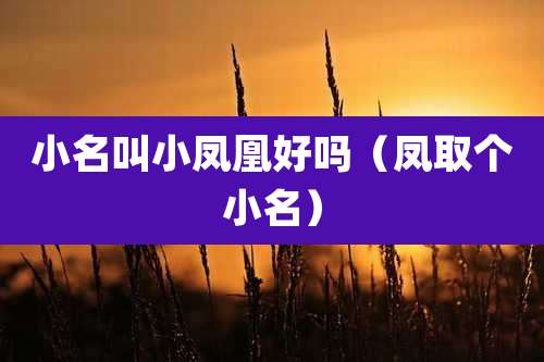 小名叫小凤凰好吗（凤取个小名）