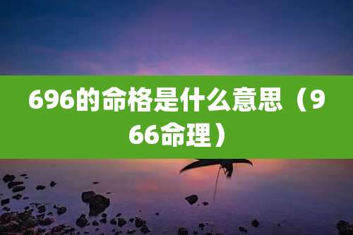 696的命格是什么意思（966命理）