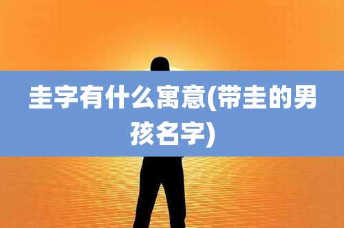 圭字有什么寓意(带圭的男孩名字)