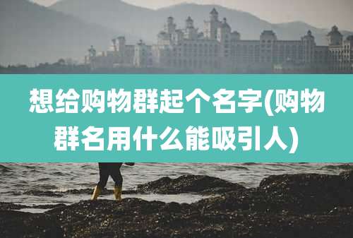 想给购物群起个名字(购物群名用什么能吸引人)