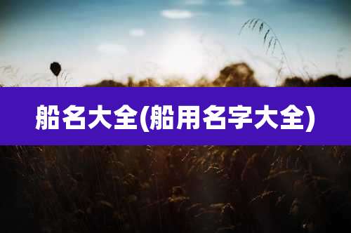 船名大全(船用名字大全)