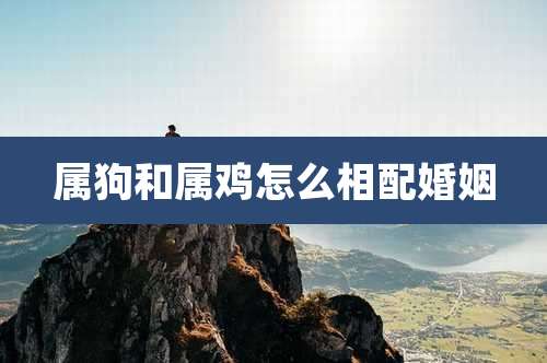 属狗和属鸡怎么相配婚姻