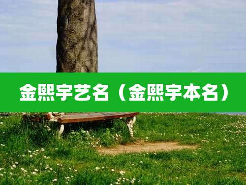 金熙宇艺名（金熙宇本名）