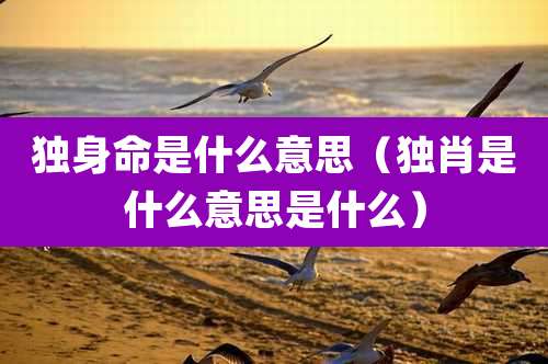 独身命是什么意思(独肖是什么意思是什么)