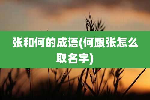 张和何的成语(何跟张怎么取名字)