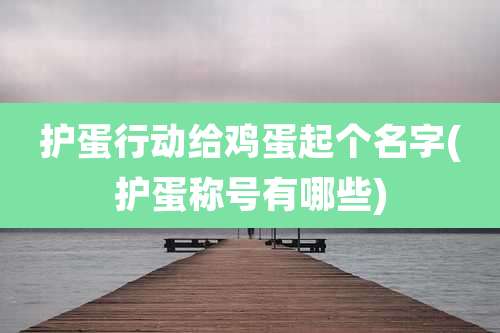 护蛋行动给鸡蛋起个名字(护蛋称号有哪些)