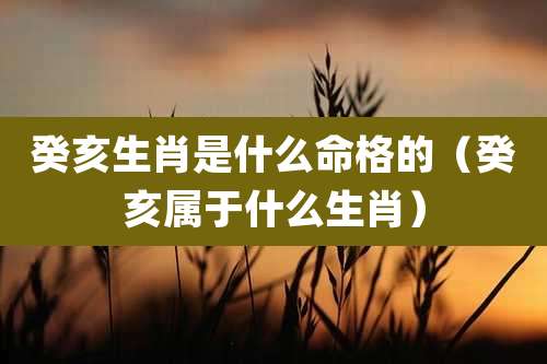 癸亥生肖是什么命格的（癸亥属于什么生肖）